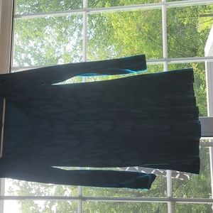 Cute long sleeve Express Dress